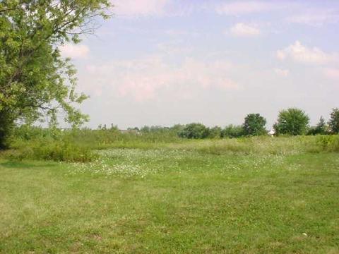 604 Doherty Rd, Galloway, OH 43119 photo 9