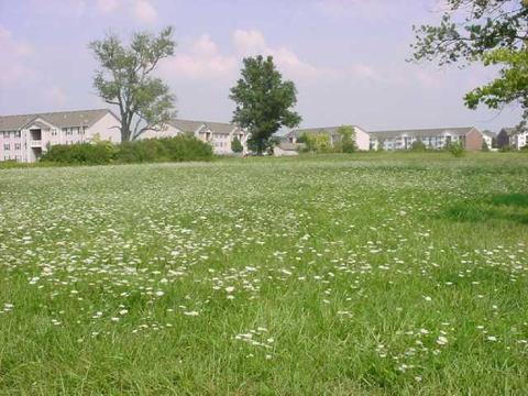 604 Doherty Rd, Galloway, OH 43119 photo 2