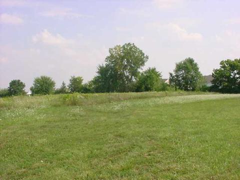 604 Doherty Rd, Galloway, OH 43119 photo 10