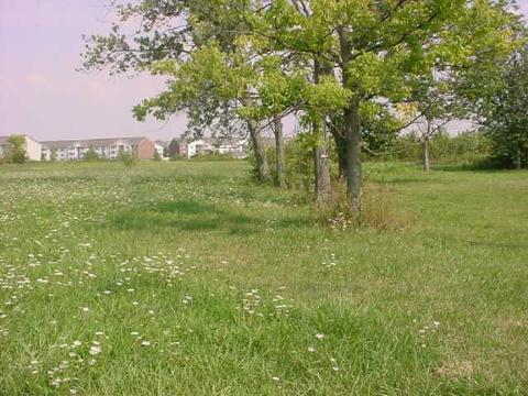 604 Doherty Rd, Galloway, OH 43119 photo 3
