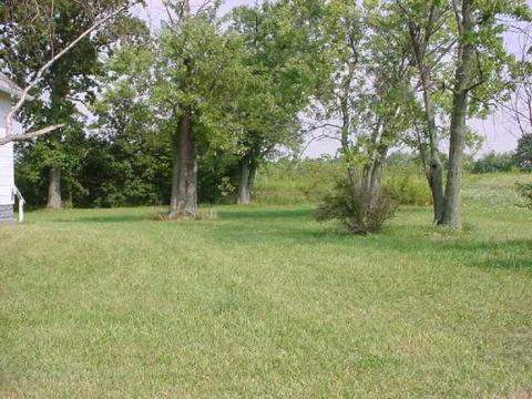 604 Doherty Rd, Galloway, OH 43119 photo 8