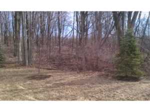8438 Diversey Loop, Blacklick, OH 43004 photo 9
