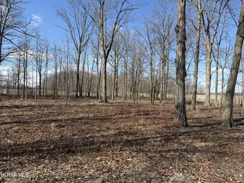 Elmwood Drive, Sherwood, OH 43556