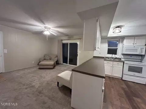 Living - 303 Walz St, Edon, OH 43518 photo 3 of 3