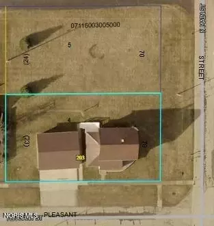 203 Pleasant St, Edon, OH 43518 photo 2