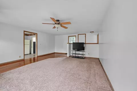 Other - 203 Pleasant St, Edon, OH 43518 photo 3 of 17