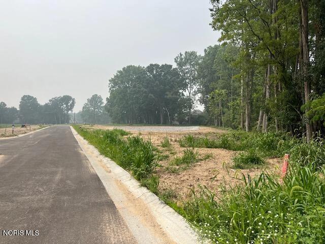 liberty lane LOT 4, Sylvania, OH 43560