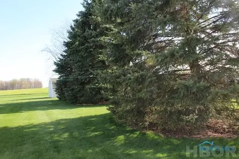613 Patterson St, Forest, OH 45843 photo 12