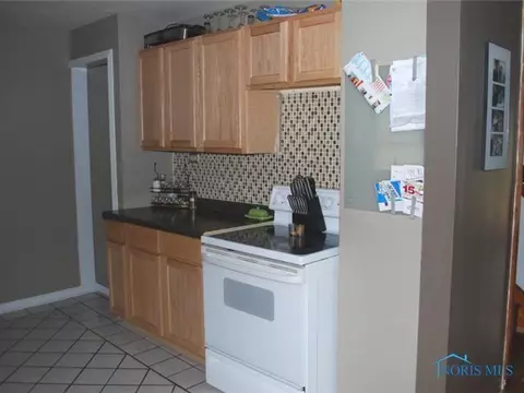 314 E Chestnut, Wauseon, OH 43567 photo 8