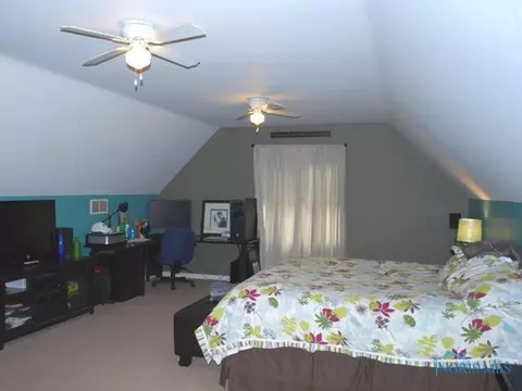 314 E Chestnut, Wauseon, OH 43567 photo 9