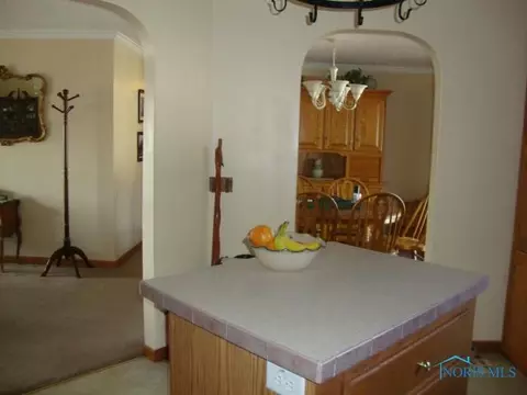 313 Short Buehrer Rd, Archbold, OH 43502 photo 10