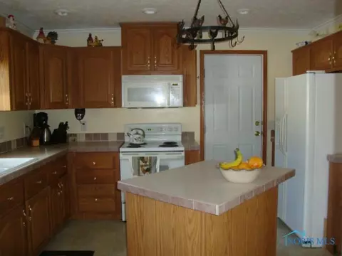 313 Short Buehrer Rd, Archbold, OH 43502 photo 9