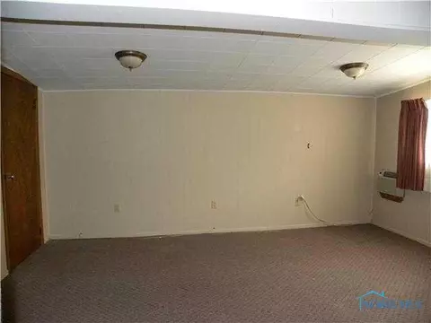 218 E Chestnut, Wauseon, OH 43567 photo 12