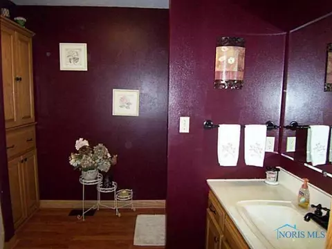 227 Maple St, Luckey, OH 43443 photo 16