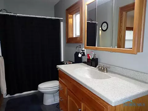 110 Lincoln St, Lyons, OH 43533 photo 13