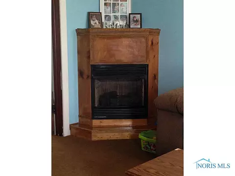 7820 Emerson, Wayne, OH 43466 photo 7