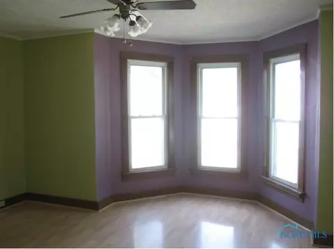209 E Chestnut, Wauseon, OH 43567 photo 5