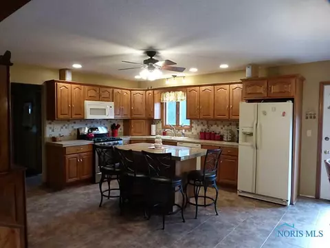 10193 County Road 17-75, West Unity, OH 43570 photo 8