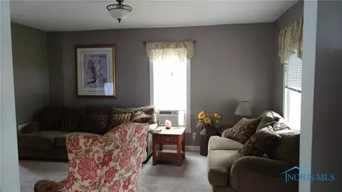 209 Fulton St, Lyons, OH 43533 photo 8