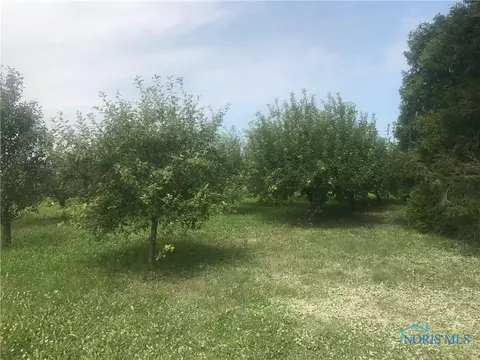 10102 Sacks Rd, Curtice, OH 43412 photo 31