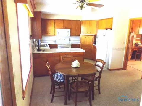 119 E Willow Run Dr, Ottawa, OH 45875 photo 13