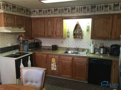 919 S Lynn St, Bryan, OH 43506 photo 5
