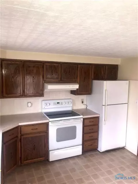 321 Kaufman St, Holgate, OH 43527 photo 2