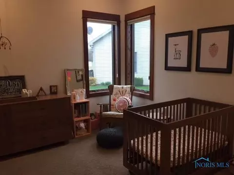209 Sylvanus St, Archbold, OH 43502 photo 20
