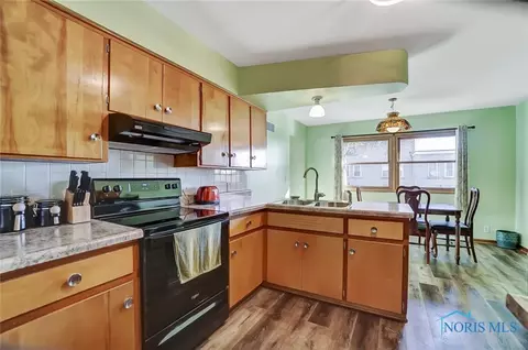 209 E Daisy St, Forest, OH 45843 photo 13