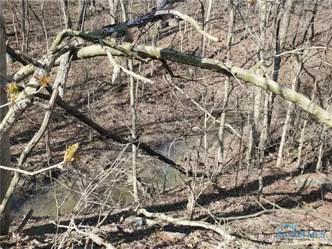 2443 Road 424, Antwerp, OH 45813 photo 10