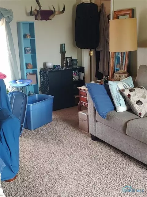 311 Hinkle St, Lyons, OH 43533 photo 5