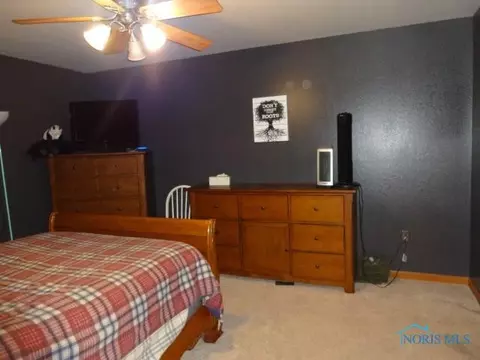 113 Hinkle St, Lyons, OH 43533 photo 11