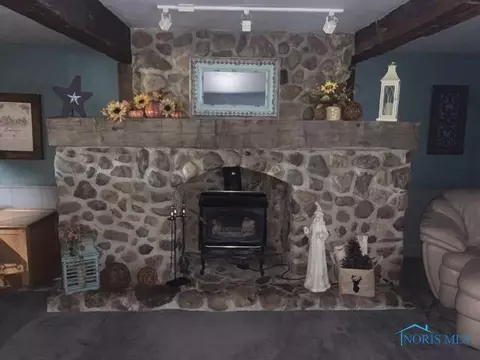 24669 County Road D, Archbold, OH 43502 photo 20