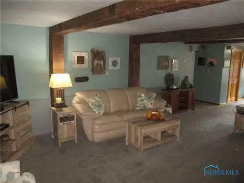 24669 County Road D, Archbold, OH 43502 photo 22