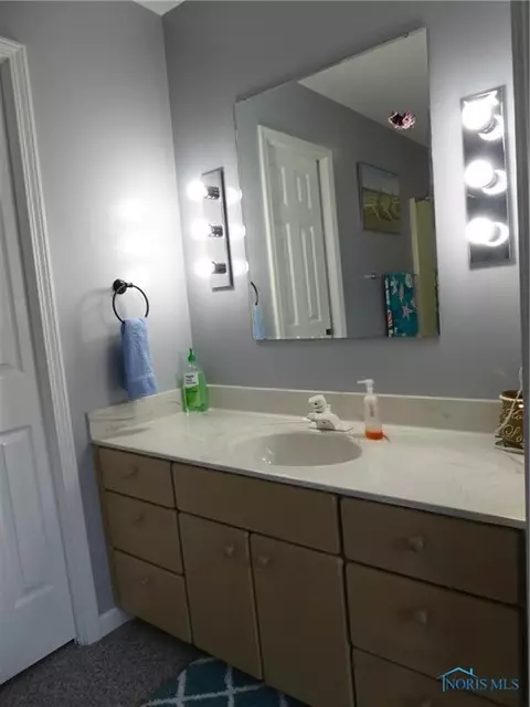 310 Tile Mill Dr, Ney, OH 43549 photo 22