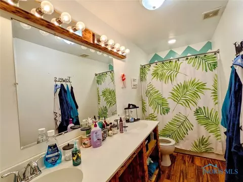 3176 Circle Dr, Delta, OH 43515 photo 15