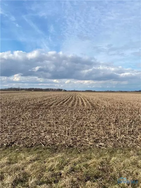 B Parcel Trowbridge, Genoa, OH 43447