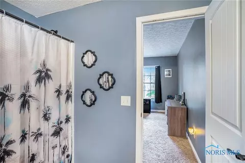 309 E Dixon St, Forest, OH 45843 photo 37