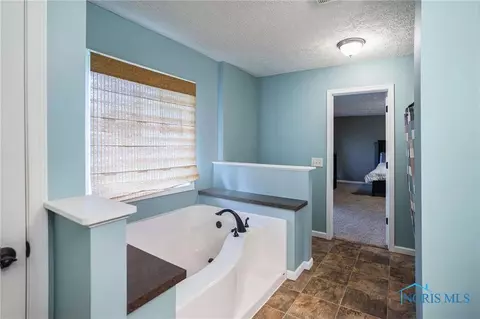 309 E Dixon St, Forest, OH 45843 photo 41