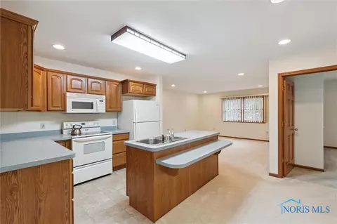 209 S Adrian St, Lyons, OH 43533 photo 12