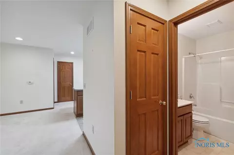 209 S Adrian St, Lyons, OH 43533 photo 23