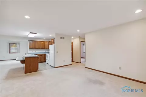 209 S Adrian St, Lyons, OH 43533 photo 20