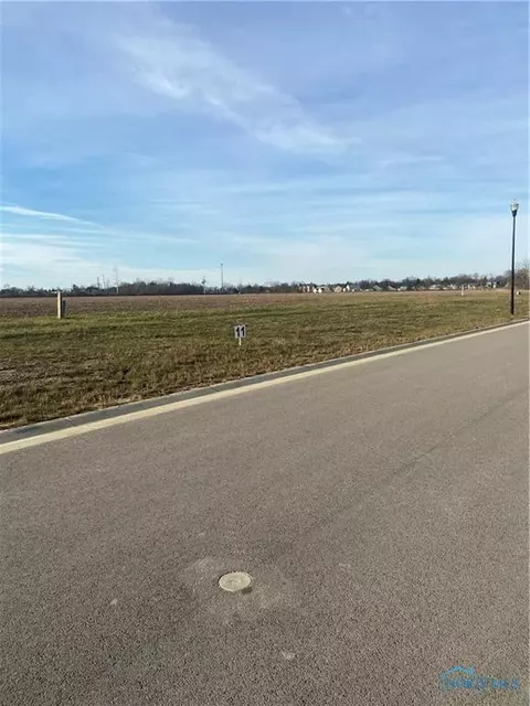 10301 Witte Walk, Whitehouse, OH 43571