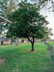 620 S Beech St, Bryan, OH 43506 photo 20