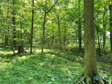 0000 County Road 17-75, West Unity, OH 43570