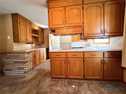 611 S Patterson St, Forest, OH 45843 photo 16