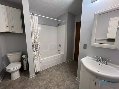 403 E Daisy St, Forest, OH 45843 photo 25