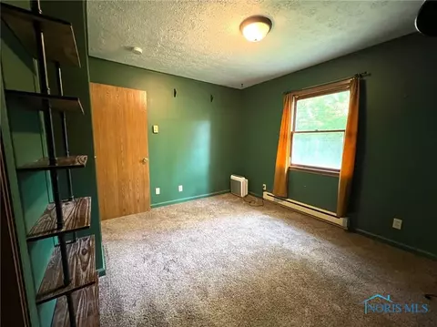 403 E Daisy St, Forest, OH 45843 photo 19