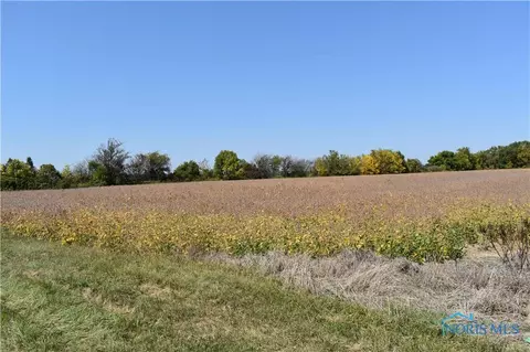 0 Bancroft St, Swanton, OH 43558