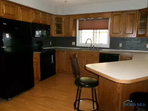 65 Rush St, Leipsic, OH 45856 photo 4